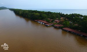 Tortuguero