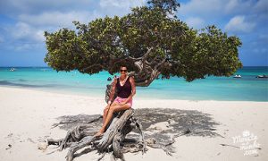crucero por Antillas y Caribe Sur