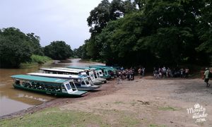Tortuguero