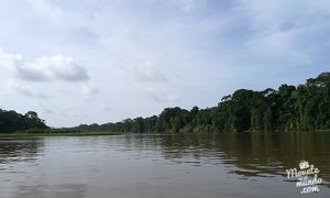Tortuguero