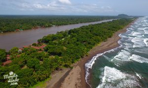 Tortuguero