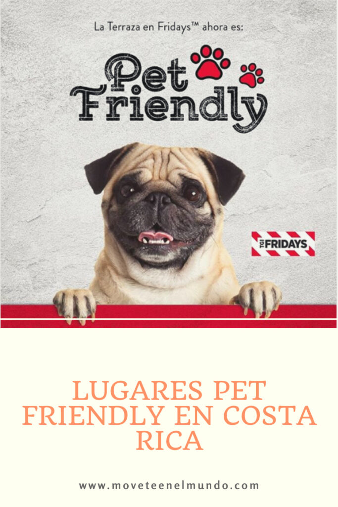 Algunos lugares pet friendly en Costa Rica, hoteles y más